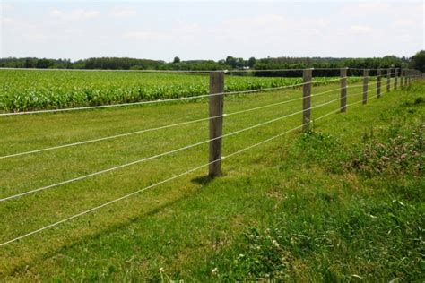 post wire fencing