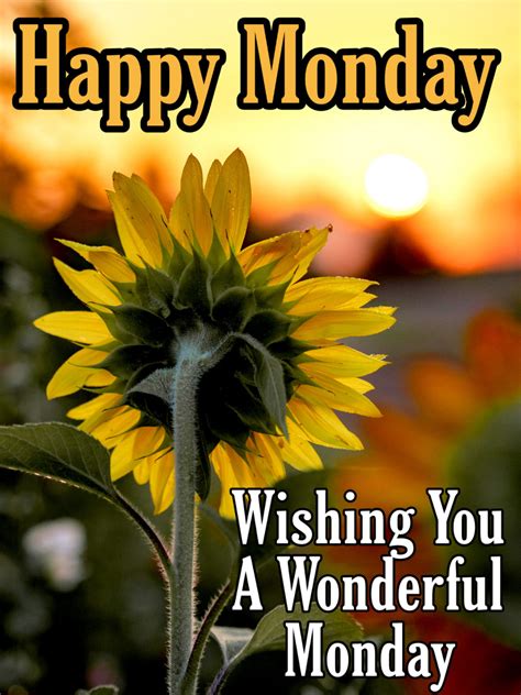 beautiful happy monday images  wishes quotes  messages