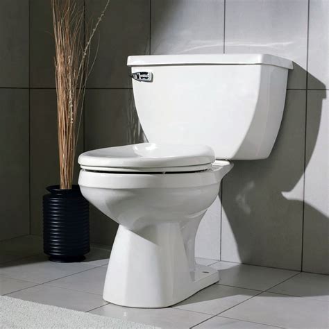 types  flushing mechanisms  toilets gold coast plumbing company