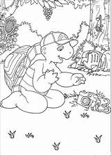 Franklin Coloring Pages Turtle Printable Info Book Index sketch template