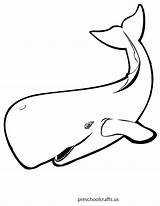 Whale Getdrawings Bowhead Drawing sketch template