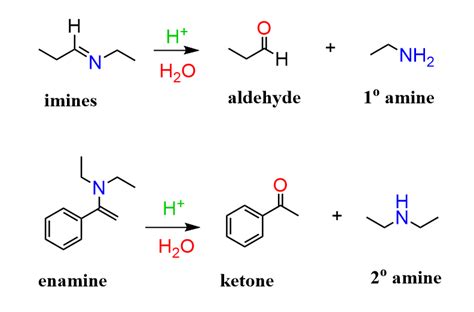 imine  enamine hydrolysis examples   chemistry chemistry