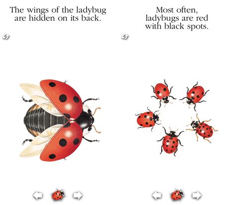 ladybug  iphone  ipad review learn  ladybugs   fun  interactive  imore