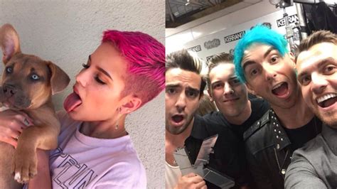 every emo band is trying to work with halsey right now galore