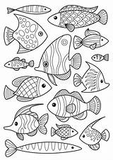 Fishes Doodle Ryby Druku Kolorowanka Kolorowanki Rybek Antistress Zestaw Royalty Drukowania Planetadziecka sketch template