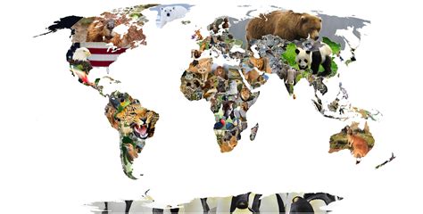 symbolic national  common animals   world oc