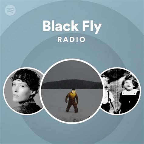 black fly songs albums  playlists spotify