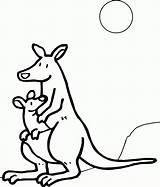 Mewarnai Kangaroo Kangguru Menggendong Udah Tinggal Silahkan Deh Diwarnai Berukuran Lagi Gendong Disini Ceritanya Gambarnya Punya Juga sketch template