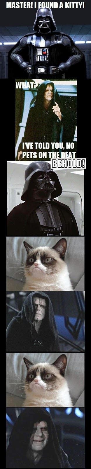 Star Wars Grumpy Cat Story ~ Funny Joke Pictures