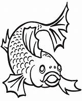 Coloring Pages Catfish Fish sketch template
