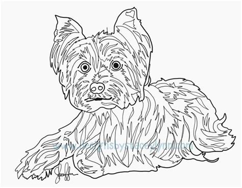 yorkie  drawing  paintingvalleycom explore collection