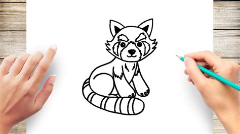 draw red panda easy youtube