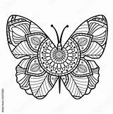 Colorare Farfalla Coloring Bianco sketch template