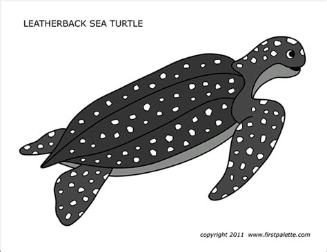 sea turtle template  bmp wabbit