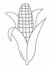 Corn Coloring Pages Printable Stalk Drawing Cob Candy Popcorn Cornucopia Box Field Template Indian Sheet Pi Shocks Color Slice Bread sketch template