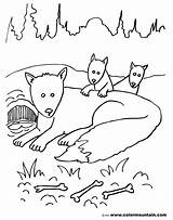 Fantastic Fox Mr Coloring Pages Getcolorings Colouring sketch template