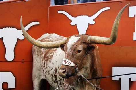 texas longhorns football top  reasons    longhorns fan news