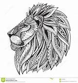 Lion Coloring Tribal Pages Ethnic sketch template