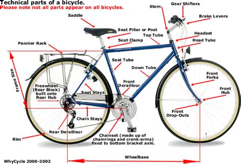 mtb scene     questions mtbrcom