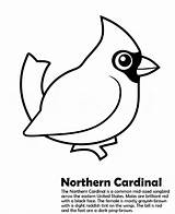 Cardinal Coloring Color Pages Northern Printable Bird Animals Sheet Cardinals Template Animalstown Book Print Animal Drawing Town Back Getdrawings Adult sketch template