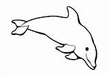 Dolphin Coloring Outline Pages sketch template