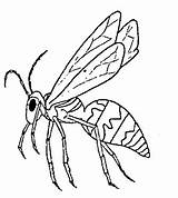 Coloring Wasp Pages Insekten Insect Wasps Nests Malvorlagen Template Coloringpages1001 Pinnwand Auswählen 300px 33kb sketch template