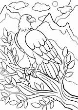 Tree Aves Feathered 30seconds Parrot Kleurplaten sketch template