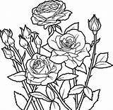 Flower Cool Getdrawings Drawing Coloring Pages sketch template