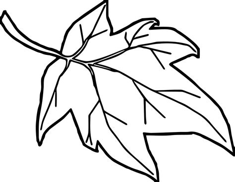 leaf cartoon drawing  paintingvalleycom explore collection  leaf