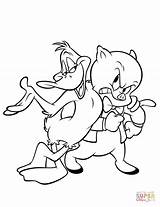 Porky Pig Coloring Duck Looney Tunes Duffy Pages Sketch Printable Supercoloring Cartoon Characters Drawing Desicomments sketch template