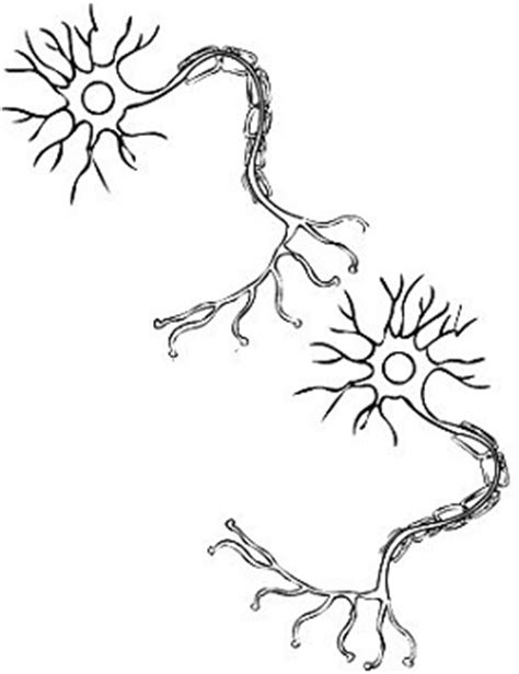 neuron coloring coloring pages