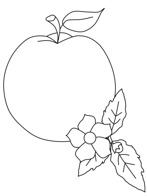 peach fruit coloring pages coloring page book