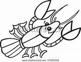 Crayfish sketch template