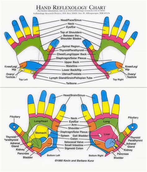 Hand Reflexology Chart Pressure Points
