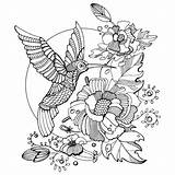 Boek Kolibrie Kleurend Coloring Vector Hummingbird sketch template