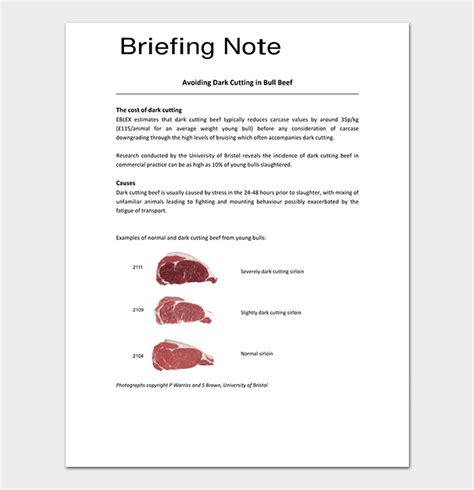 briefing note template  samples word   format