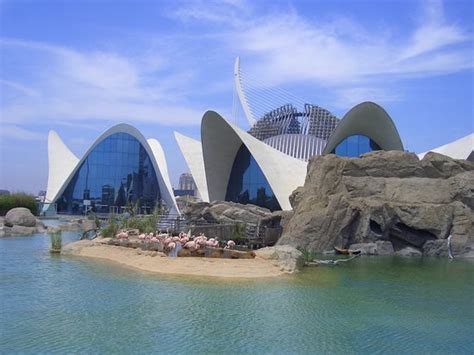 valencia tourism   valencia spain tripadvisor