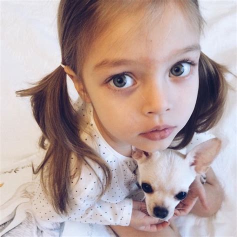 ekaterina pavaga on instagram “mia 8m chihuahua annapavaga” anna