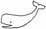 Whale Wal Umriss Tegninger Ausmalbild Hval Wale Malvorlage Simple Tegne Whales Ausdrucken sketch template