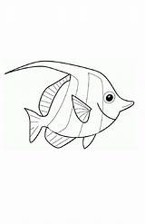 Fish Draw Angel Coloring sketch template