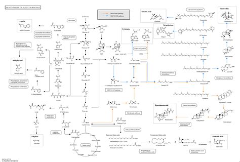 kegg pathway diterpenoid biosynthesis reference pathway sexiz pix