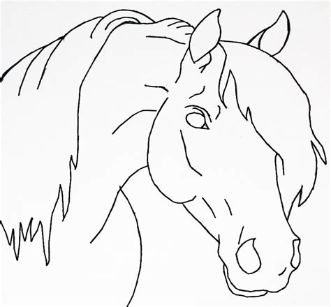 horse drawing easy  getdrawings