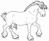 Shire Caballo Lineart Caballos Pintar Salvaje Draft Gratistodo sketch template