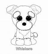Beanie Coloring Pages Boo Ty Boos Party Babies Baby Kids Puppy Dog Printable Kleurplaten Colouring Sheets Cute Whiskers Rocks Slush sketch template