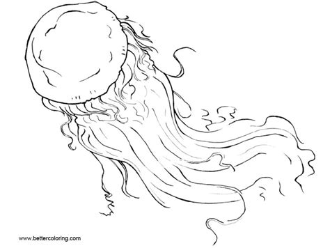 jellyfish coloring pages  xiphosuras  printable coloring pages
