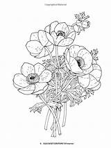 Pea Flowers Dover Redouté sketch template