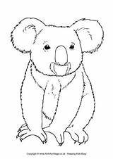 Koala Colouring Australian Animal Animals Pages Coloring Australia Drawing Templates Outline Drawings Activityvillage Aussie Printable Bear Colour Cute Koalas Xmas sketch template