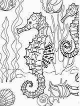 Coloring Pages Sea Life Colouring Under Drawing Comments sketch template