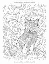 Ausmalbilder Fuchs Erwachsene Tiere Malvorlagen 1er Sauvage Vie Danieguto sketch template