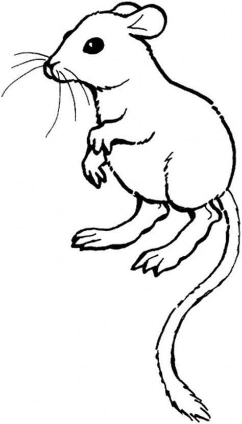 mouse  rat coloring pages images   coloring pages